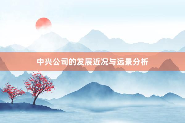 中兴公司的发展近况与远景分析